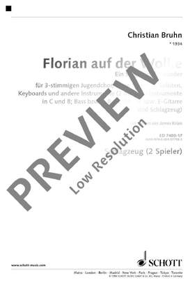 Bruhn, C: Florian auf der Wolke