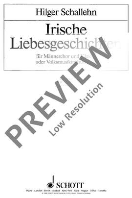Schallehn, Hilger: Irische Liebesgeschichten