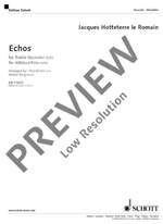 Hotteterre, Jacques Martin: Echos Product Image