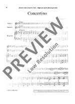 Huber, Adolf: Concerto in G Minor op. 11 Product Image