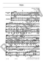 Brahms, Johannes: Trio A minor op. 114 Product Image
