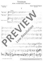 Pepusch, John Christopher: Triosonata Bb major Product Image