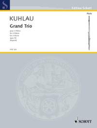 Kuhlau, Friedrich: Grand Trio op. 90