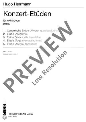 Herrmann, Hugo: Konzert-Etüden