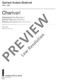 Anders-Strehmel, G: Charivari