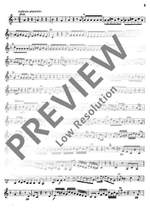 Graupner, C: Concerto Product Image