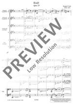 Ysaÿe, Eugène: Exil! op. 25 Product Image