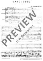 Peeters, Flor: Larghetto op. 106 Product Image
