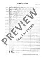 Hindemith, Paul: Symphony in B flat Product Image