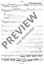 Vivaldi, Antonio: L'Estro Armonico op. 3/9 RV 230 / PV 147 Product Image