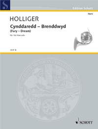 Holliger, Heinz: Cynddaredd – Brenddwyd