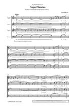 Bryars, Gavin: Super Flumina Product Image