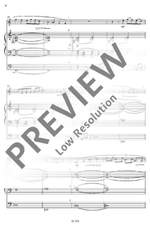 Helmschrott, Robert M.: Salut Product Image