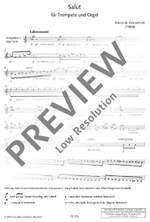 Helmschrott, Robert M.: Salut Product Image