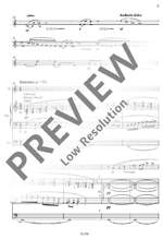 Helmschrott, Robert M.: Salut Product Image