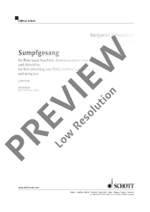 Schweitzer, Benjamin: Sumpfgesang Product Image