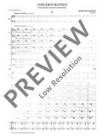 Blazewicz, Marcin: Concerto rustico Product Image