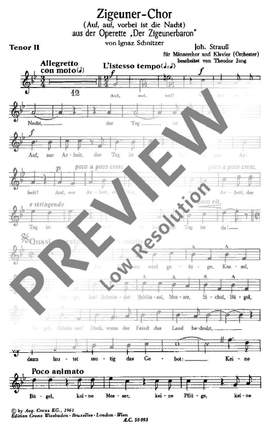 Strauß (Son), Johann: Zigeuner-Chor