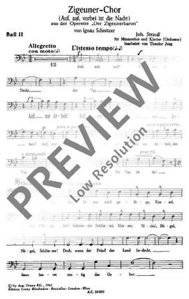 Strauß (Son), Johann: Zigeuner-Chor