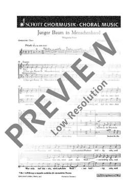 Zipp, Friedrich: Junger Baum in Menschenhand