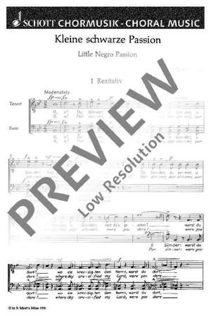 Koster, Ernst: Little Negro Passion