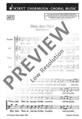 Schallehn, Hilger: Herr, dein Wort