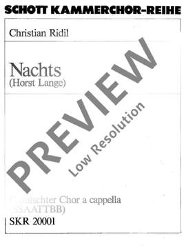 Ridil, Christian: Nachts