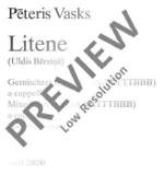 Vasks, Pēteris: Litene Product Image