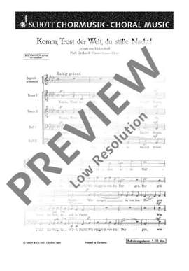 Rein, Walter: Komm, Trost der Welt, du stille Nacht!