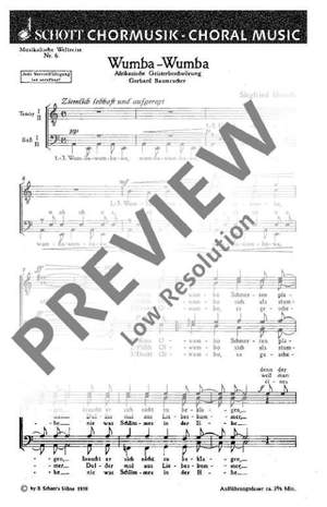 Merath, Siegfried: Musikalische Weltreise