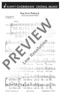 Zoll, P: Sing, kleine Nachtigall