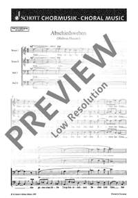 Erdmann-Abele, Veit: Abschiedsweben