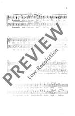 Wittmer, E L: Festliche Hymne Product Image