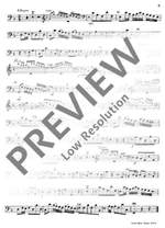 Graupner, Christoph: Concerto Product Image
