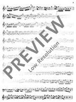Graupner, Christoph: Concerto Product Image