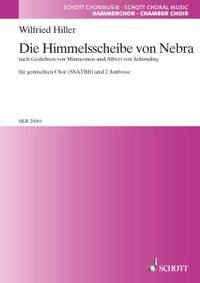 Hiller, Wilfried: Die Himmelscheibe von Nebra