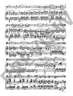 Gretchaninow, Alexandr: Sonata op. 113 Product Image