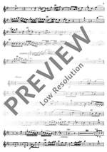 Hertel, J W: Double Concerto E flat Major E flat major Product Image