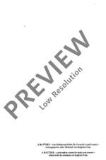 Regner, Hermann: Changing patterns Product Image