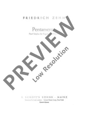 Zehm, Friedrich: Pentameron