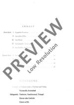 Tambourin Product Image