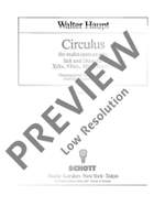 Haupt, Walter: Circulus Product Image