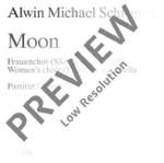 Schronen, Alwin Michael: Moon Product Image