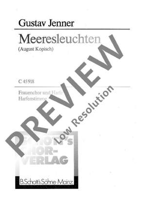 Jenner, Cornelius Uwe Gustav: Meeresleuchten
