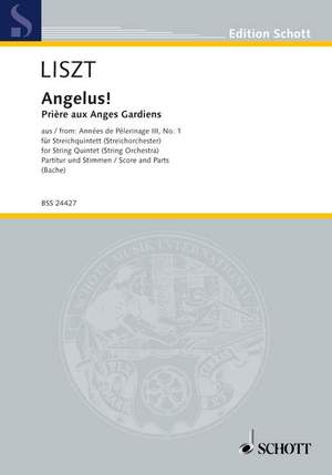 Liszt, Franz: Angelus!
