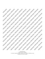 He, Xuntian: FuSe Pattern Product Image