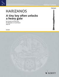 Harizanos, Nickos: A tiny key often unlocks a heavy gate op. 64