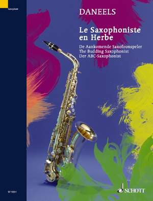 Daneels, Francois: The Budding Saxophonist