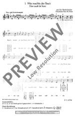 Lieder der Welt Product Image