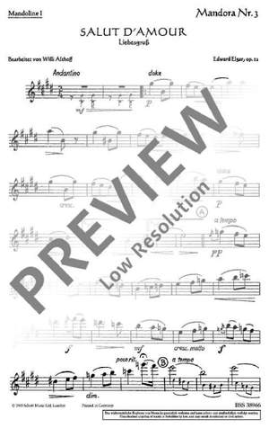 Elgar, Edward: Salut d’amour op. 12/3